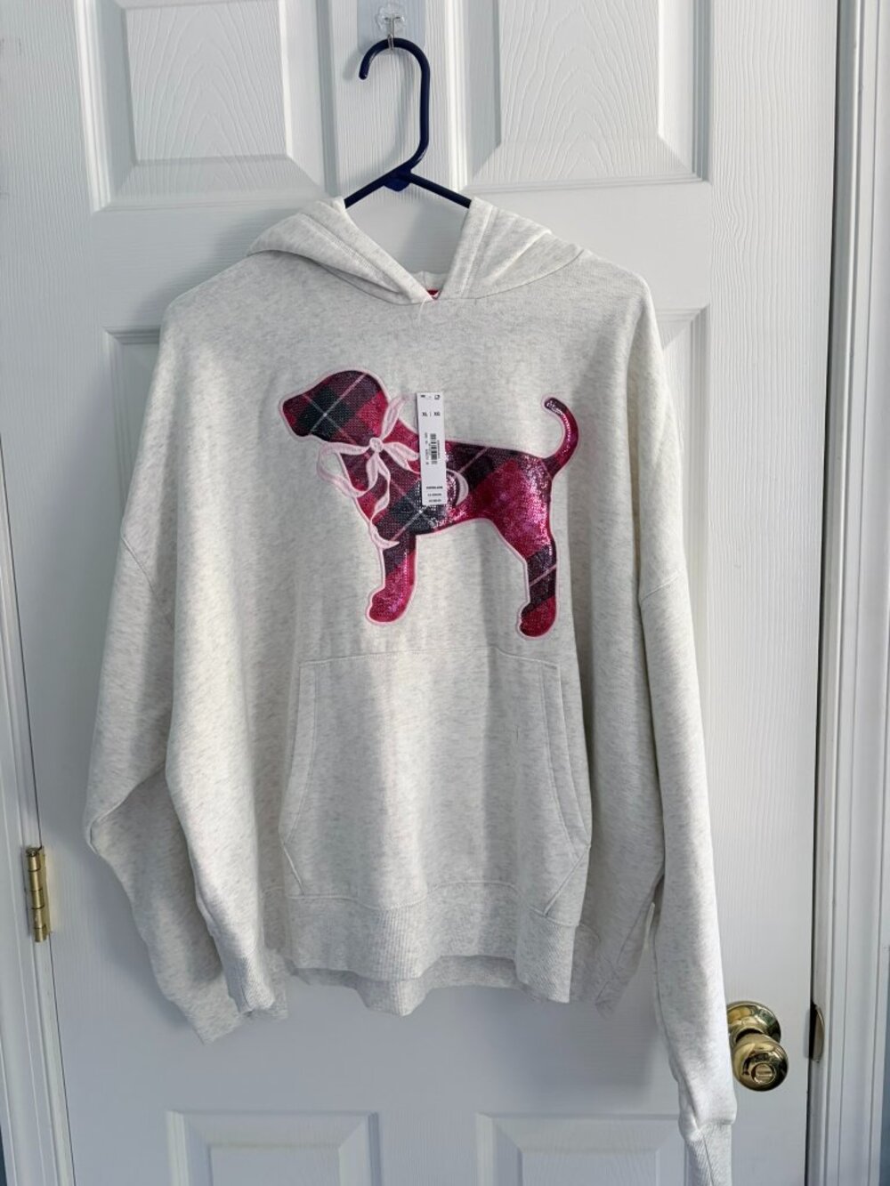 PINK X LOVESHACKFANCY Oversized Hoodie NWT XL